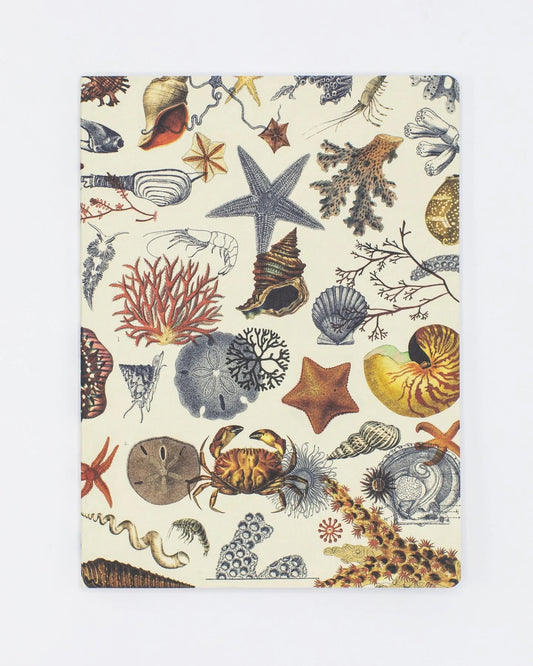 Shallow Seas Notebook