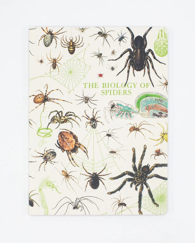 Spiders Notebook