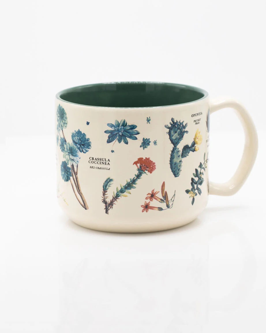 Succulents Ceramic Mug