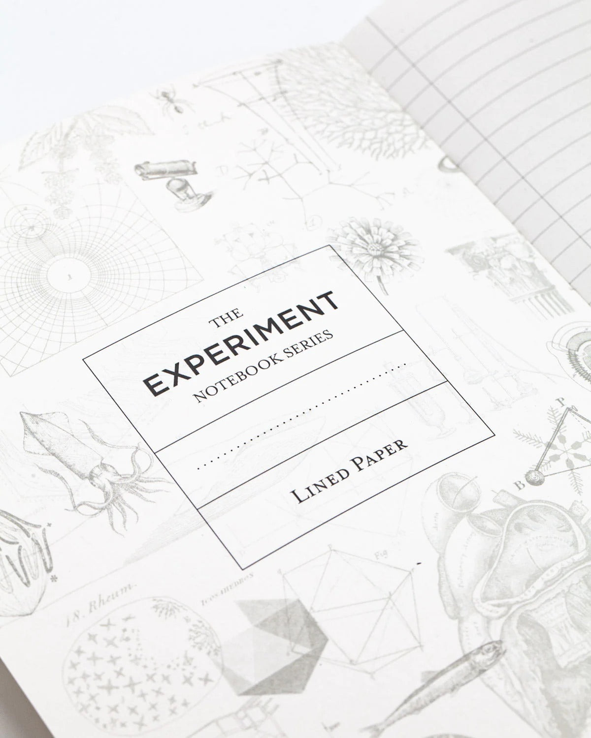 Volcanoes Notebook