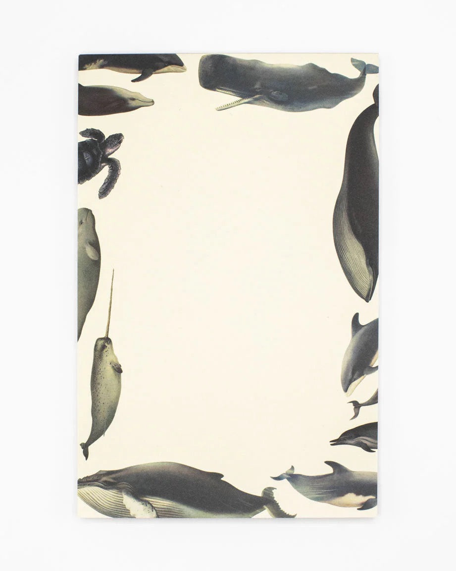 Whales Notepad