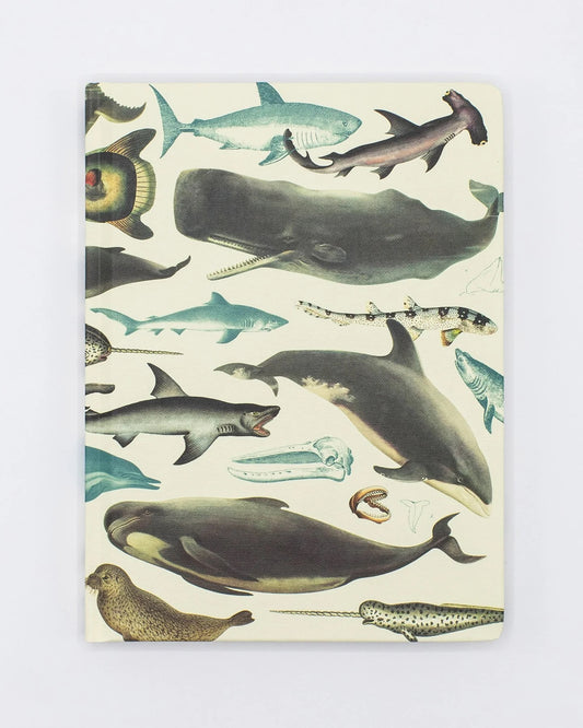 Whales and Seals Journal