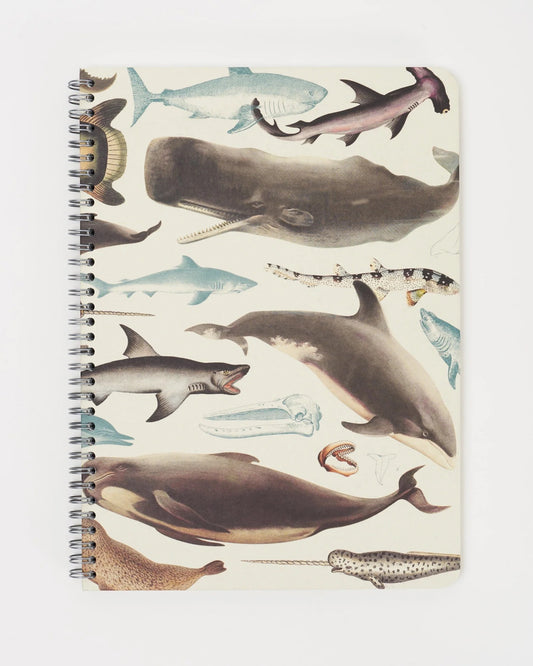 Whales, Sharks & Seals - Helix Spiral Journal Medium