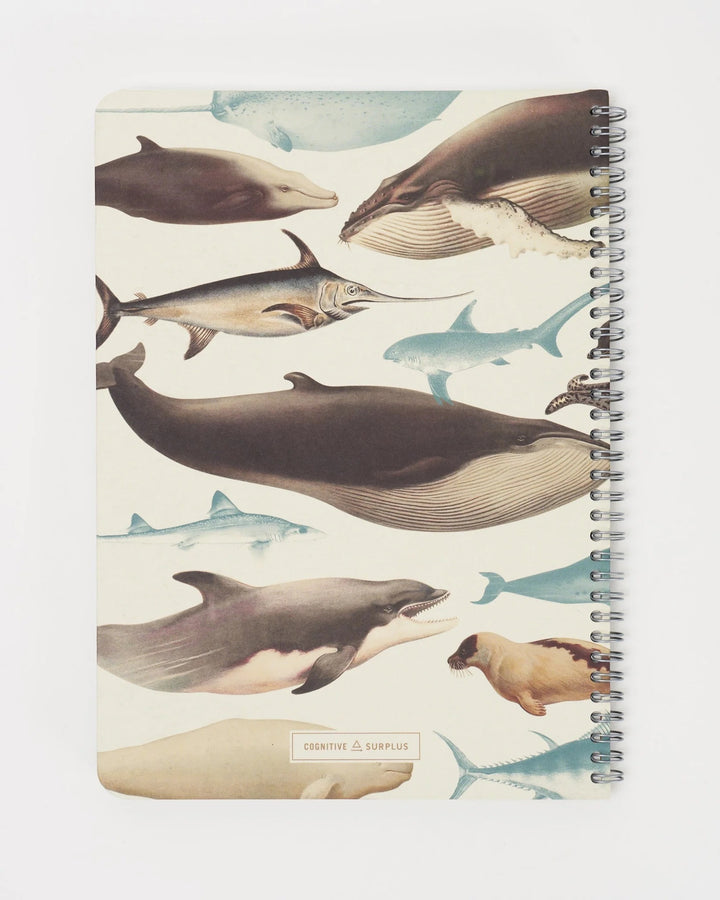 Whales, Sharks & Seals - Helix Spiral Journal Medium