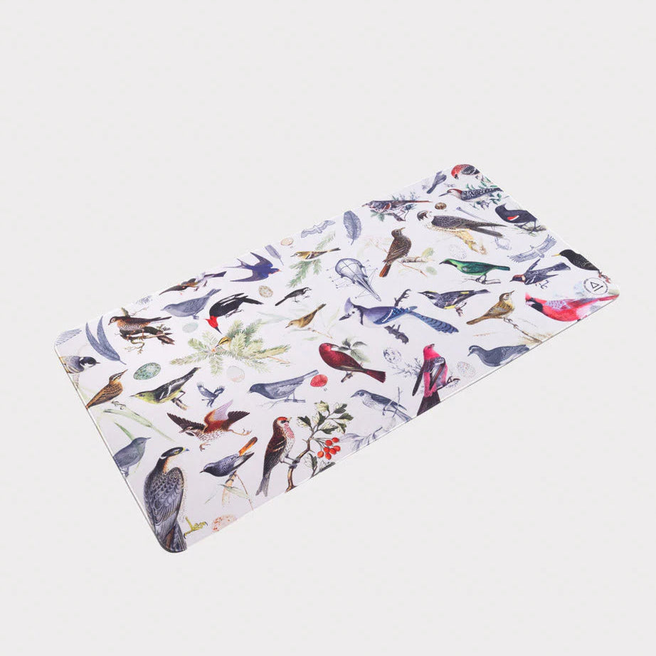 Cognitive Surplus - Birds & Feathers Ornithology  Desk Pad