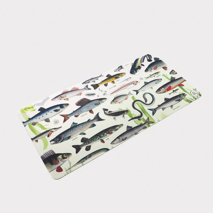 Cognitive Surplus - Freshwater Fish Desk Pad