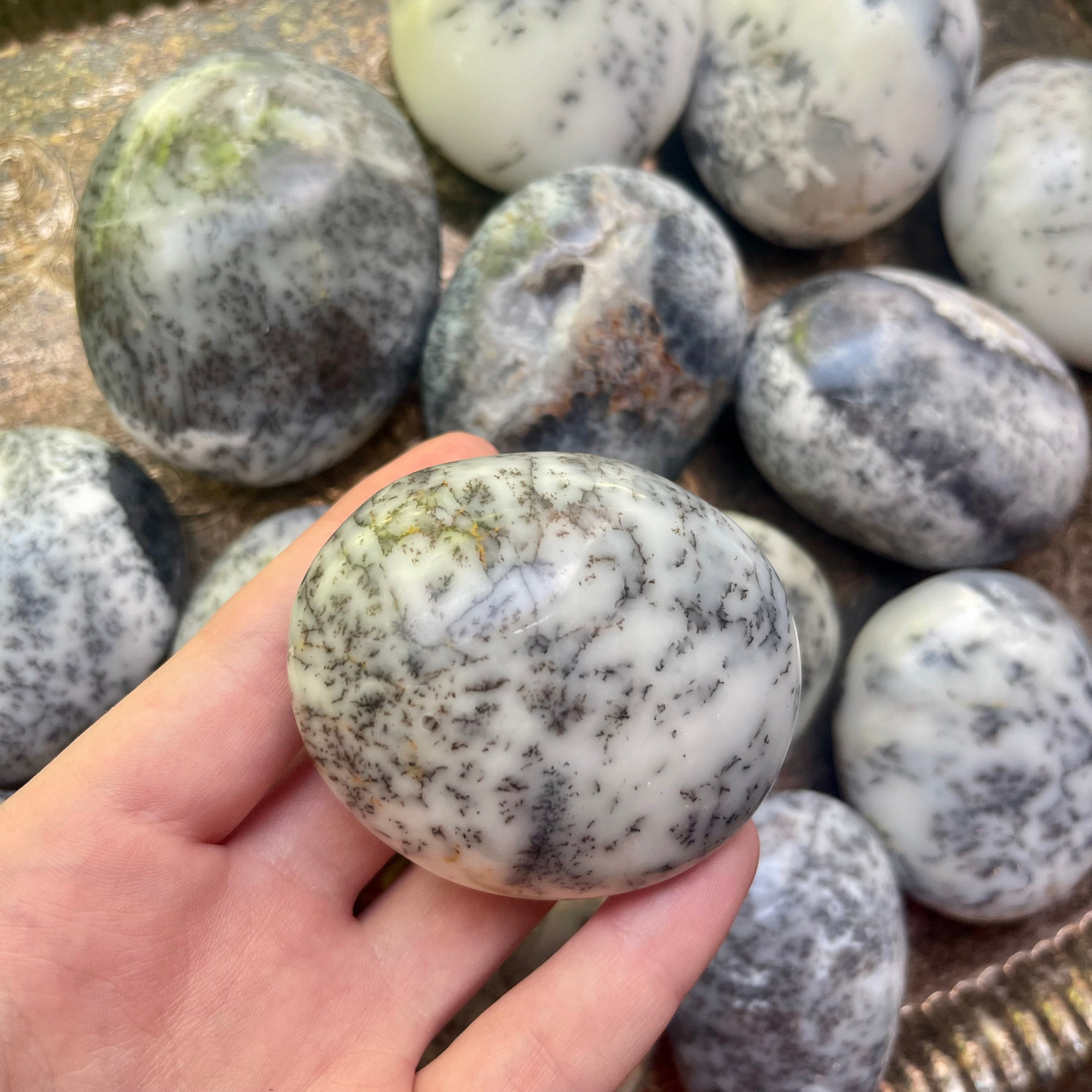 Dendritic Agate Sea Turtle Eggs