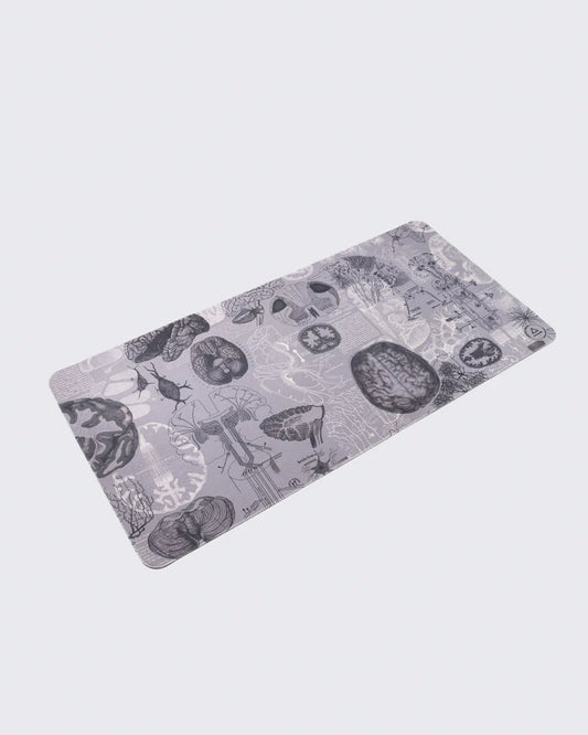 Brain Anatomy Mouse/Desk Pad