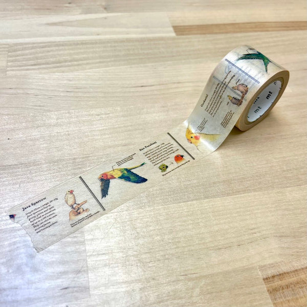 MT Encyclopedia Wide Washi Tape - 9 Styles