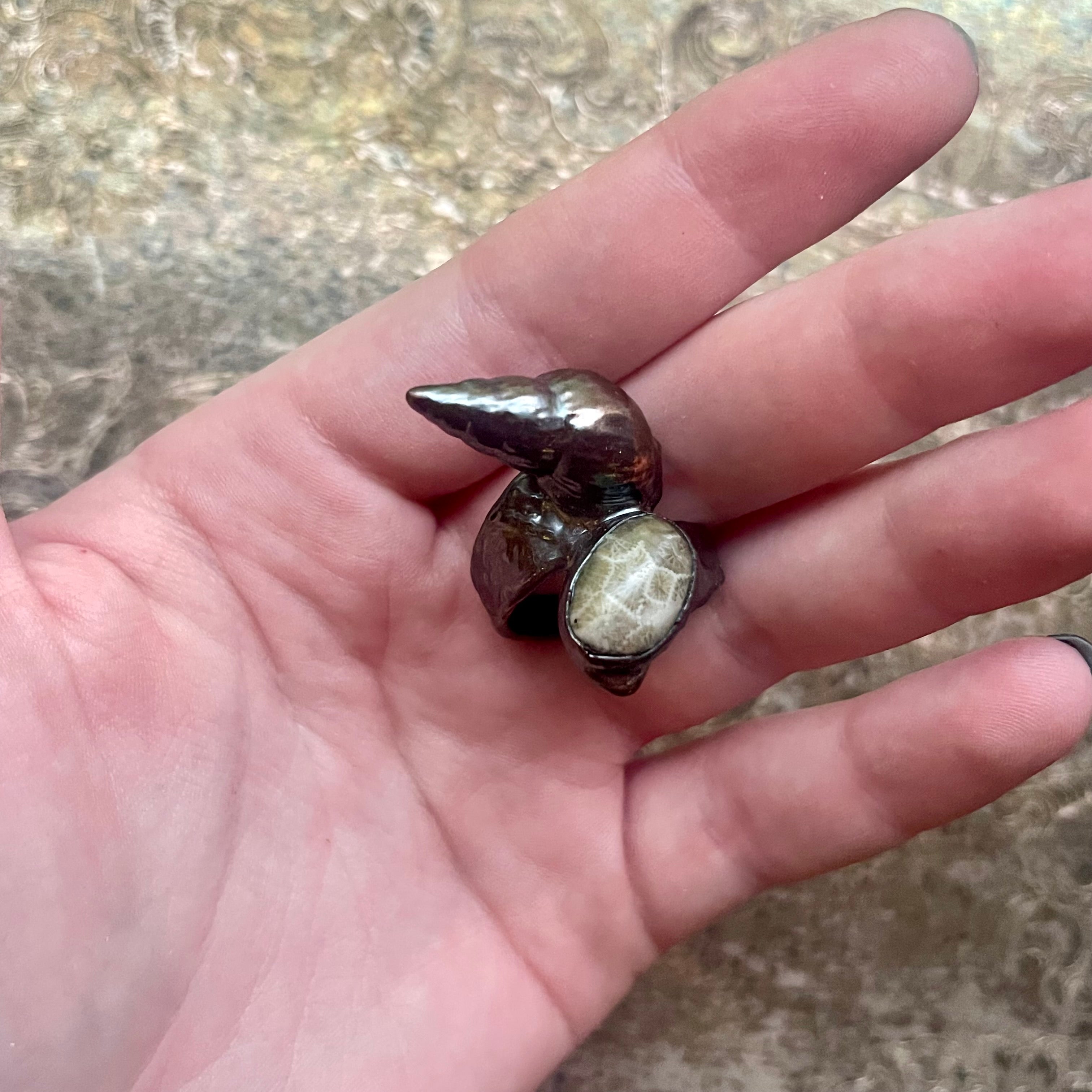 Fossilized Coral and Shell Ring