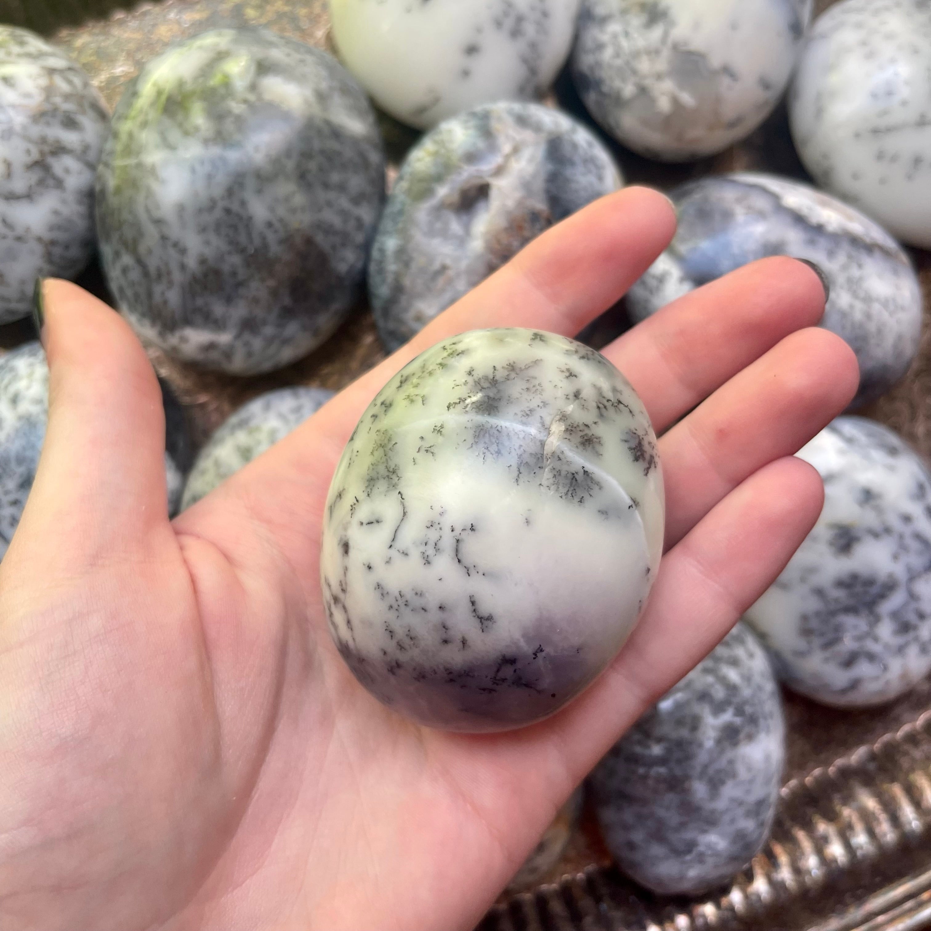 Dendritic Agate Sea Turtle Eggs
