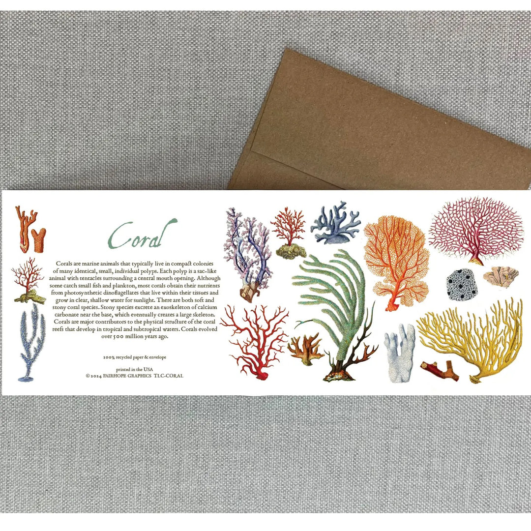 Coral Natural History Card