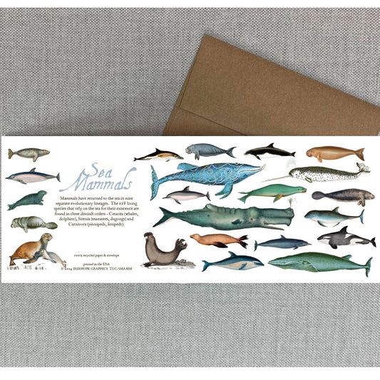 Sea Mammals Natural History Card