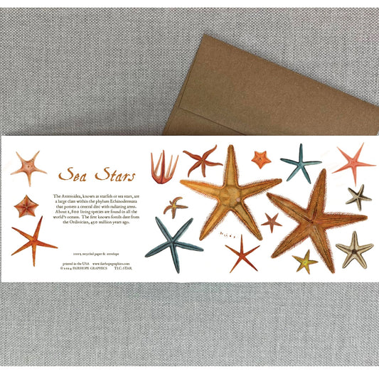 Sea Stars Natural History Card