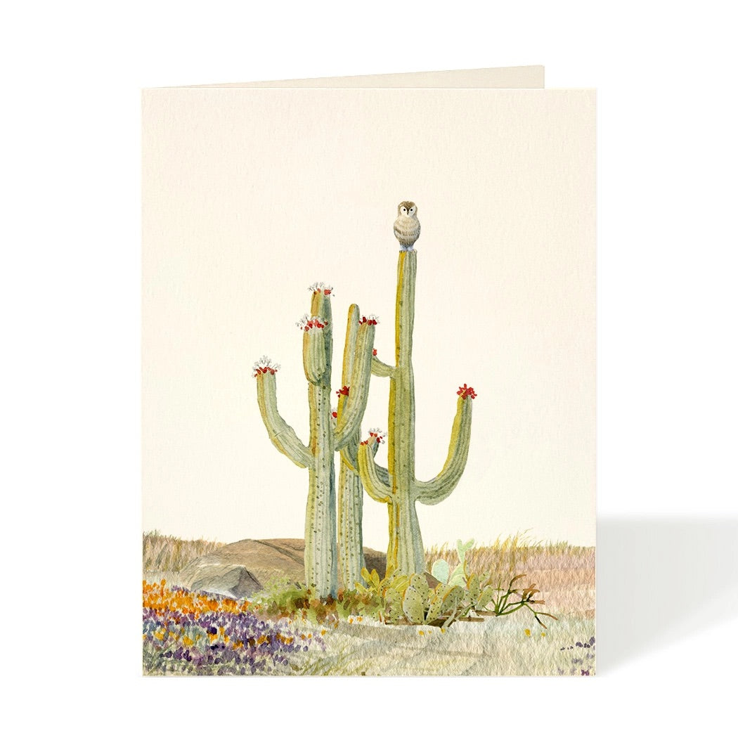 Desert Perch Greeting Card