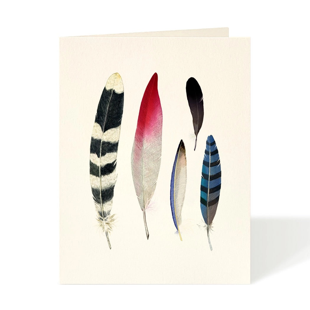 Feather Collector Card