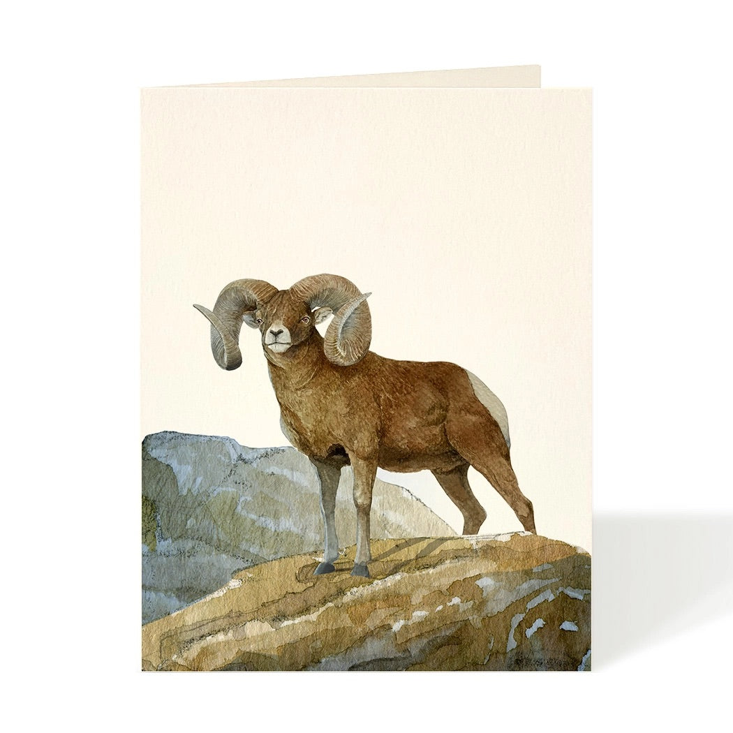 Majestic Ram Card
