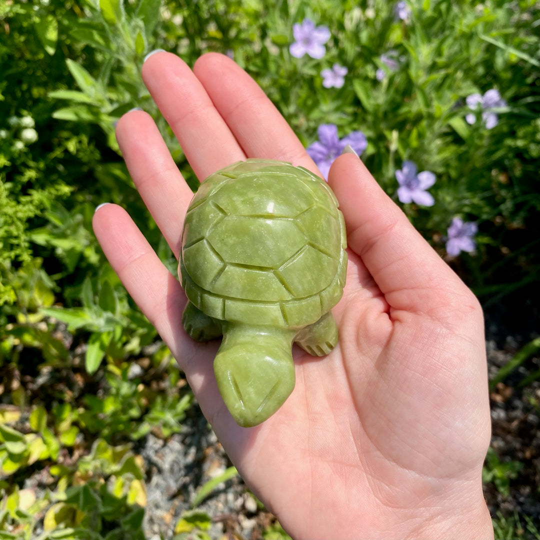 Nephrite Jade Companion Carved Turtle