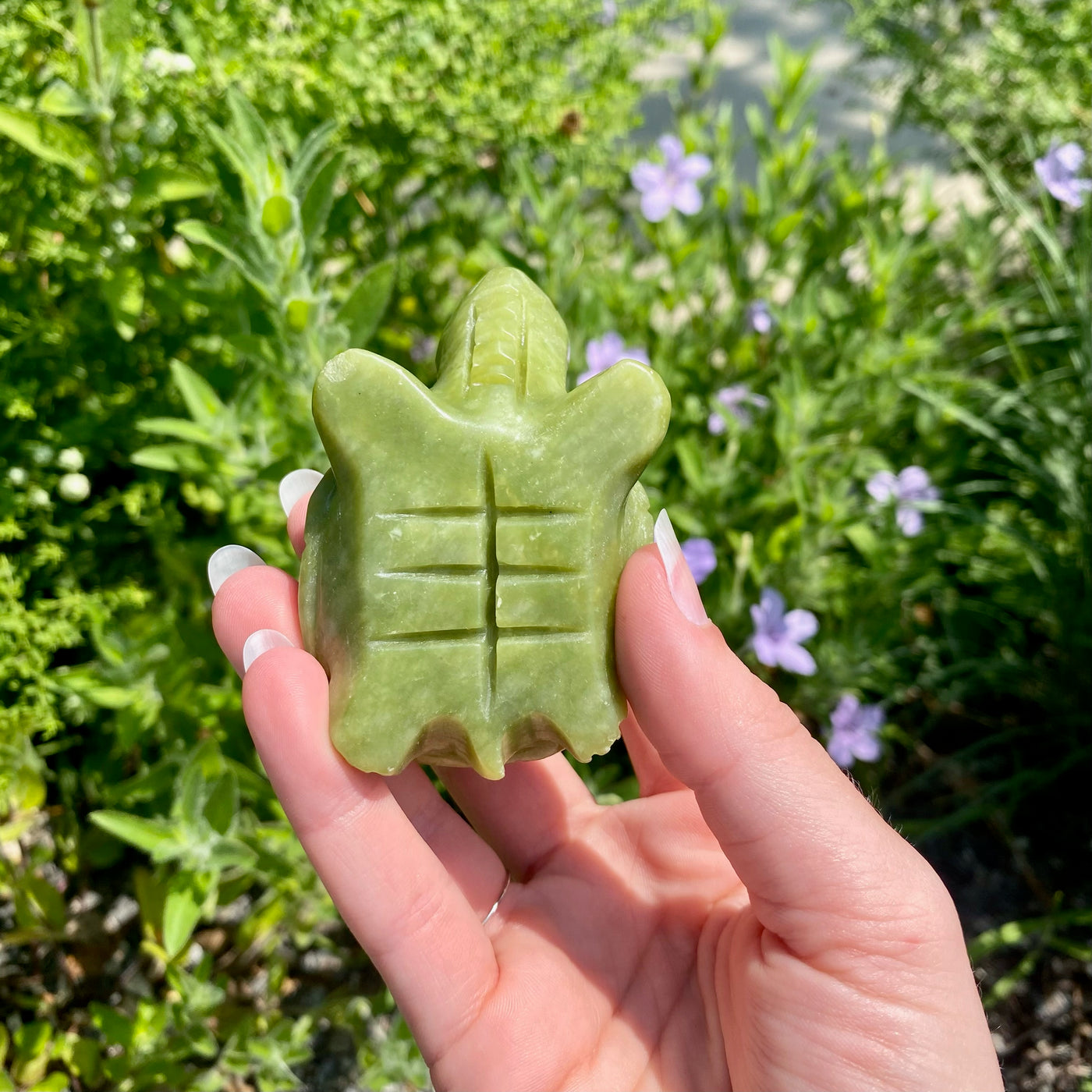 Nephrite Jade Companion Carved Turtle