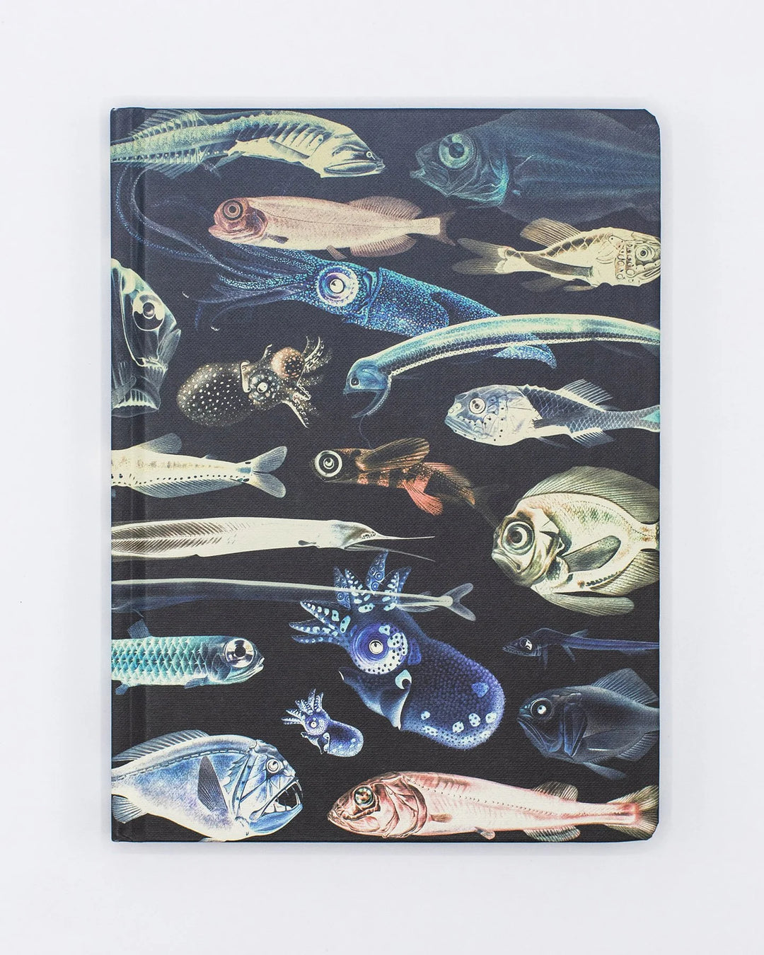 Deep Sea Journal