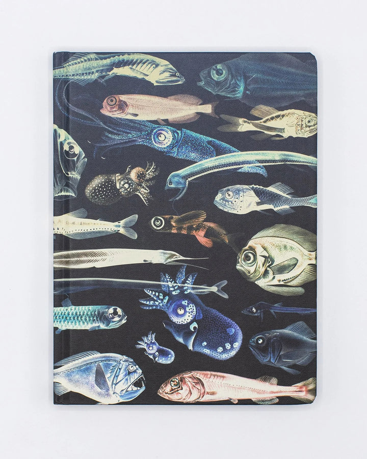 Deep Sea Journal