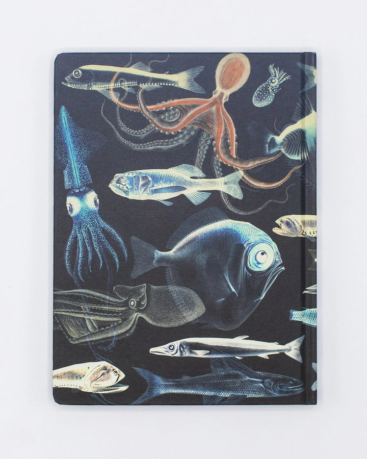 Deep Sea Journal