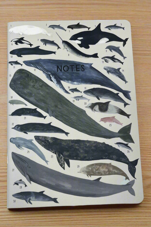 Marine Animals Notebook