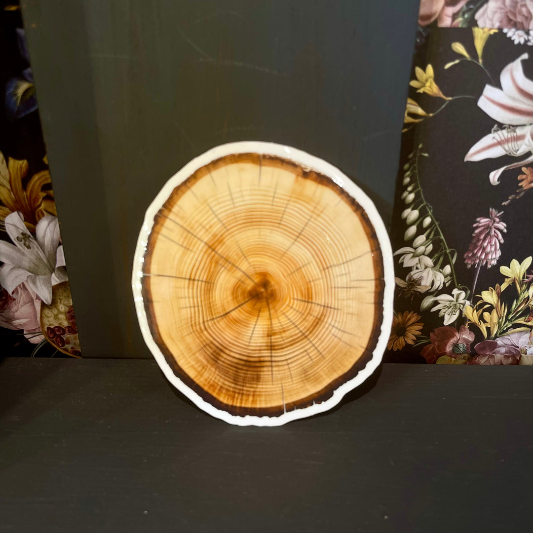 Tree Ring Sticker