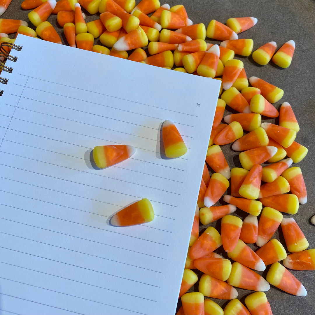 Hand-Painted Candy Corn Journal - Of Aspen Exclusive