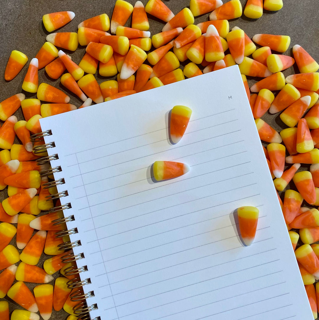 Hand-Painted Candy Corn Journal - Of Aspen Exclusive