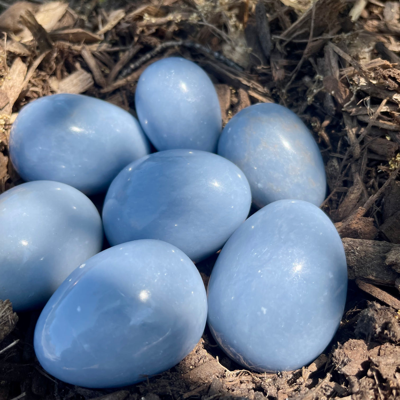 Angelite Robin's Eggs