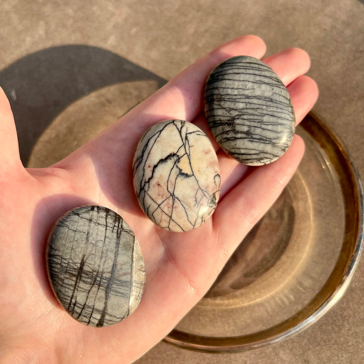 Spiderweb Jasper - Pillow Palm Stone
