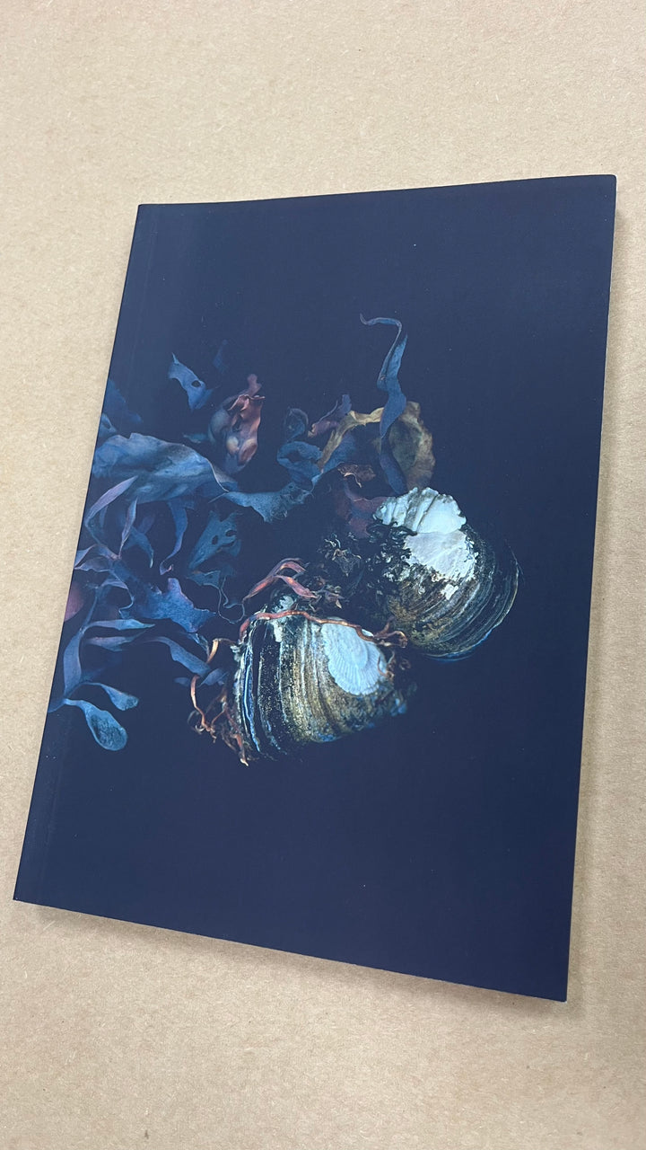 Siren's Shells Notebook - Misfit