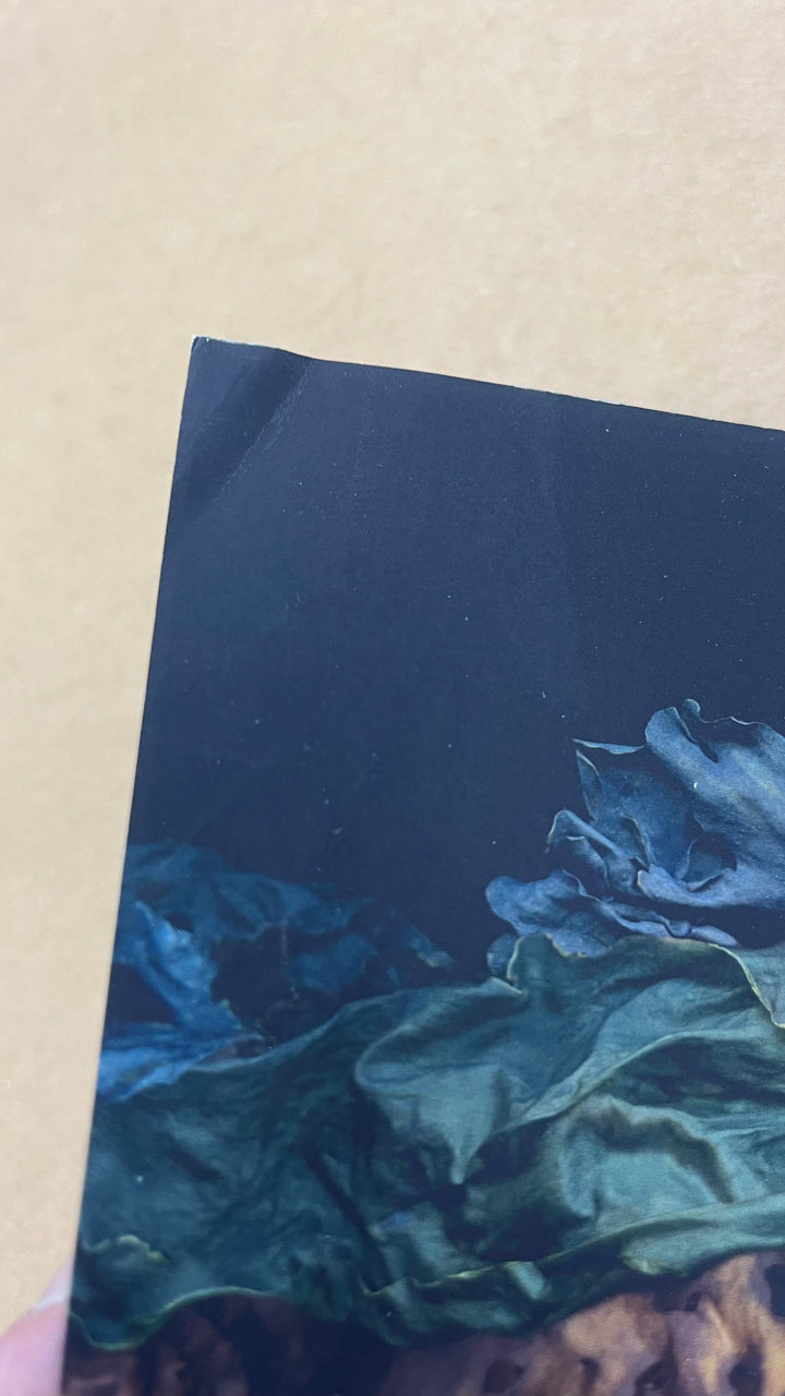 Siren's Shells Notebook - Misfit