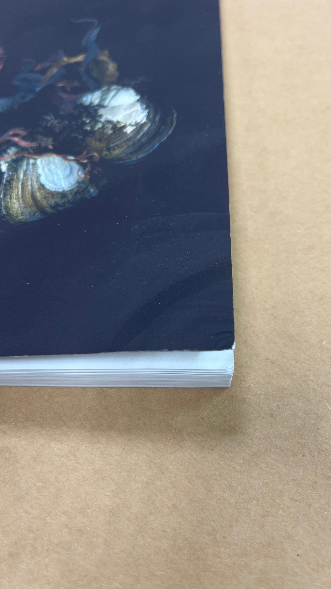 Siren's Shells Notebook - Misfit