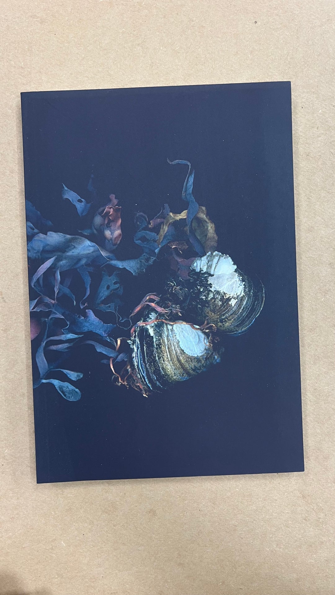 Siren's Shells Notebook - Misfit