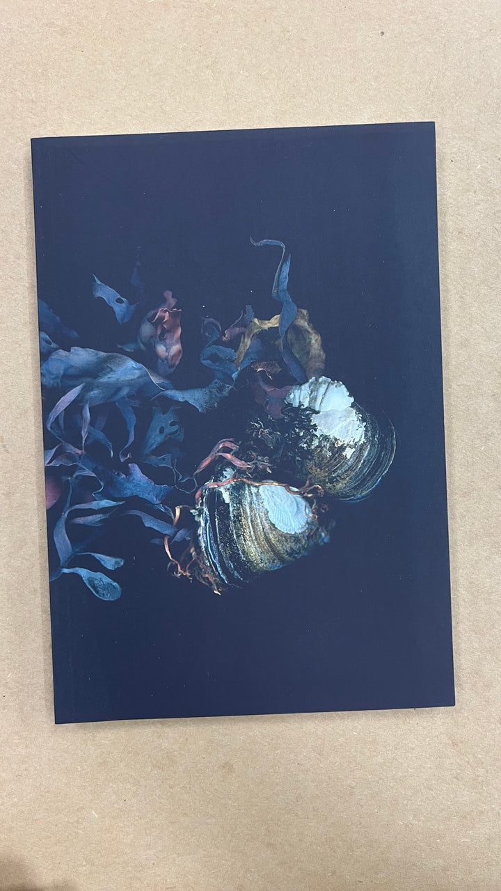 Siren's Shells Notebook - Misfit