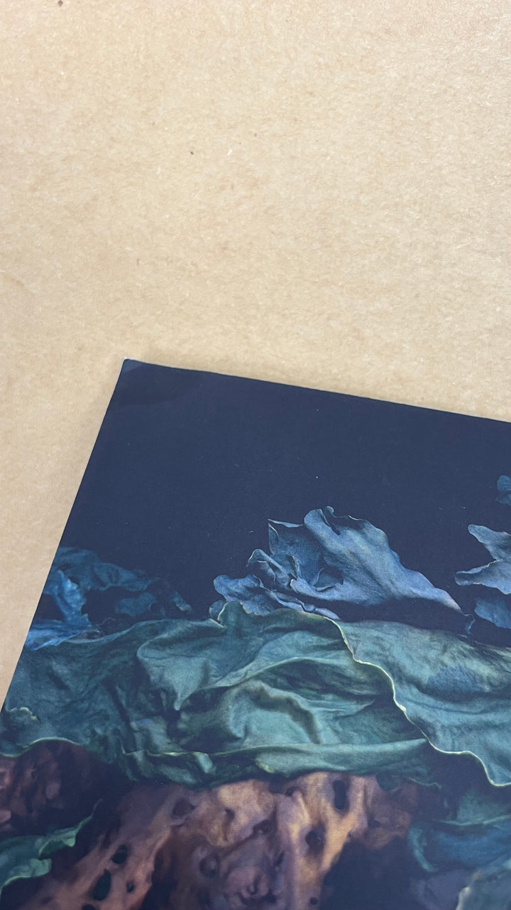 Siren's Shells Notebook - Misfit