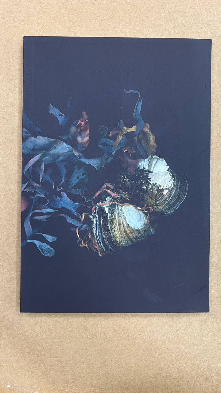 Siren's Shells Notebook - Misfit