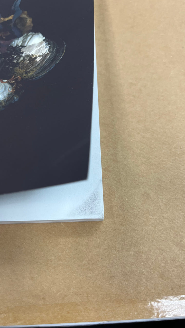 Siren's Shells Notebook - Misfit
