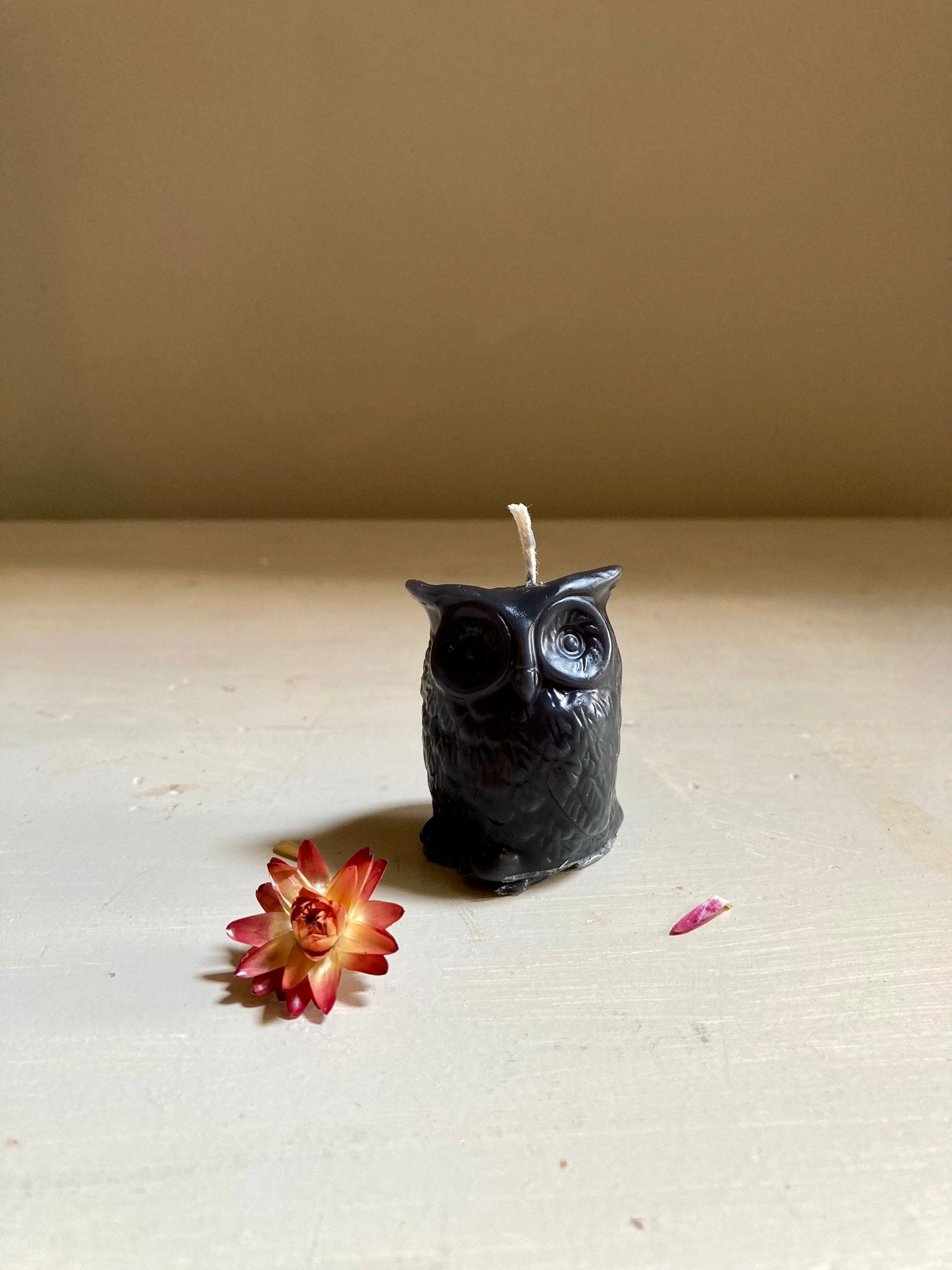 Owl Beeswax Candle - Black