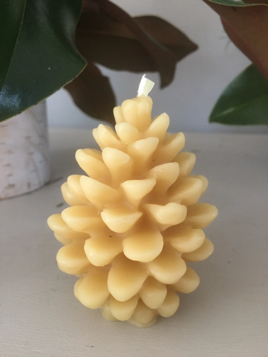 Pinecone Beeswax Candle - Natural