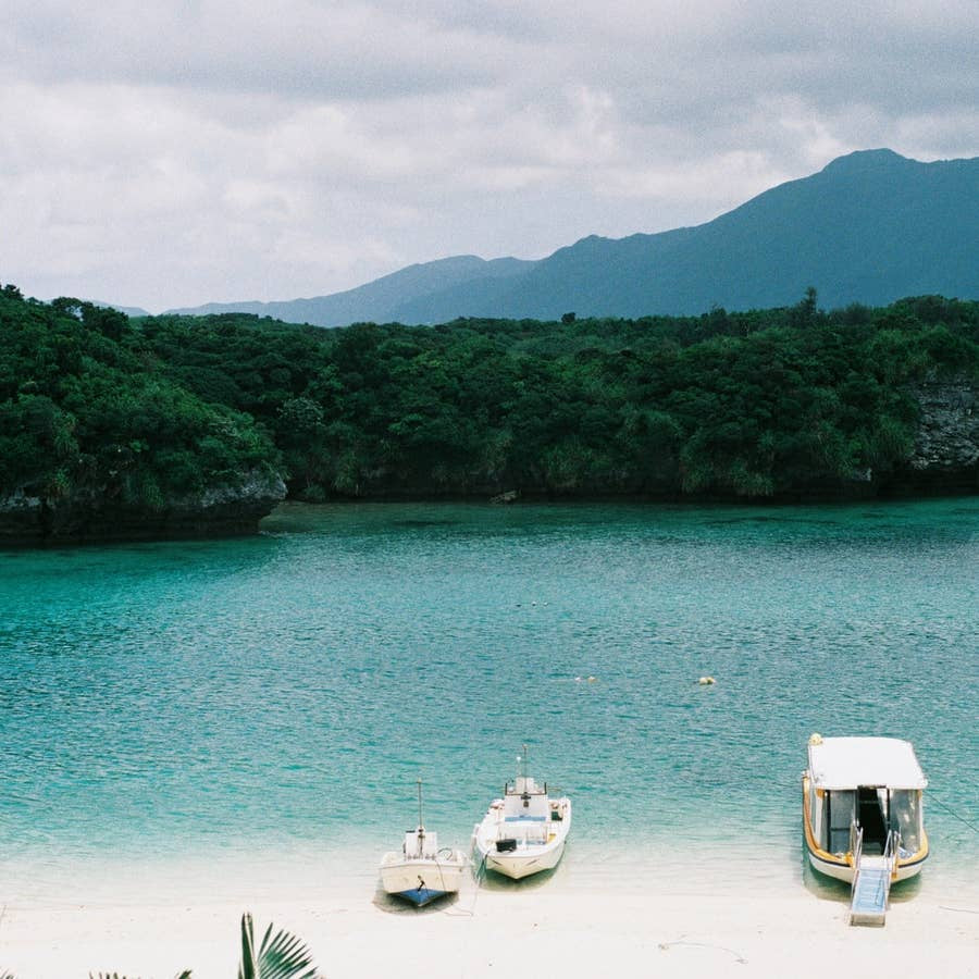 Japanese Star Sand Specimen
