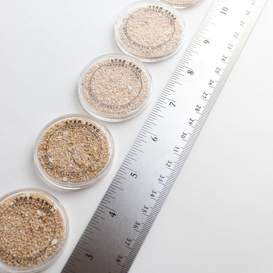 Japanese Star Sand Specimen