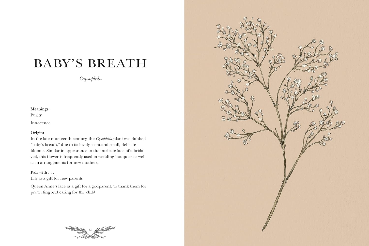 Floriography - An Illustrated Guide to the Victorian Language of Flowers Book