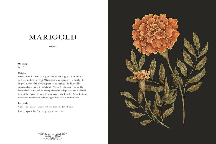 Floriography - An Illustrated Guide to the Victorian Language of Flowers Book