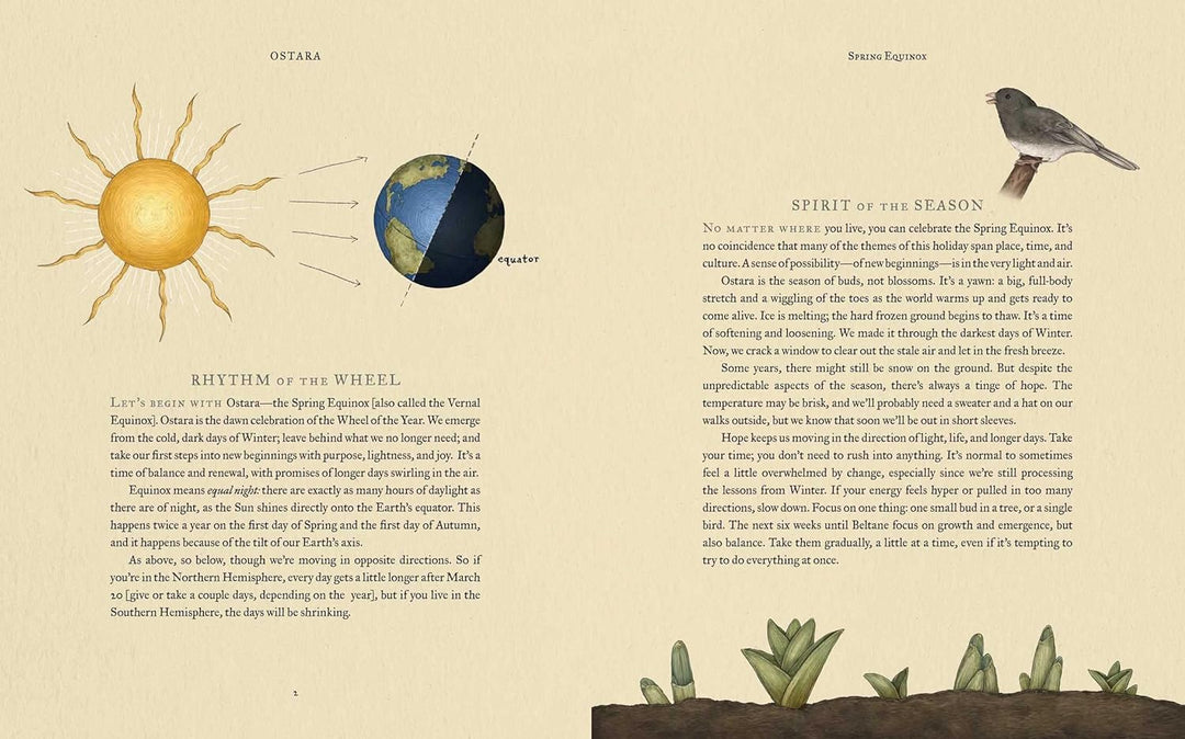 The Wheel of the Year: An Illustrated Guide To Natures Rhythms