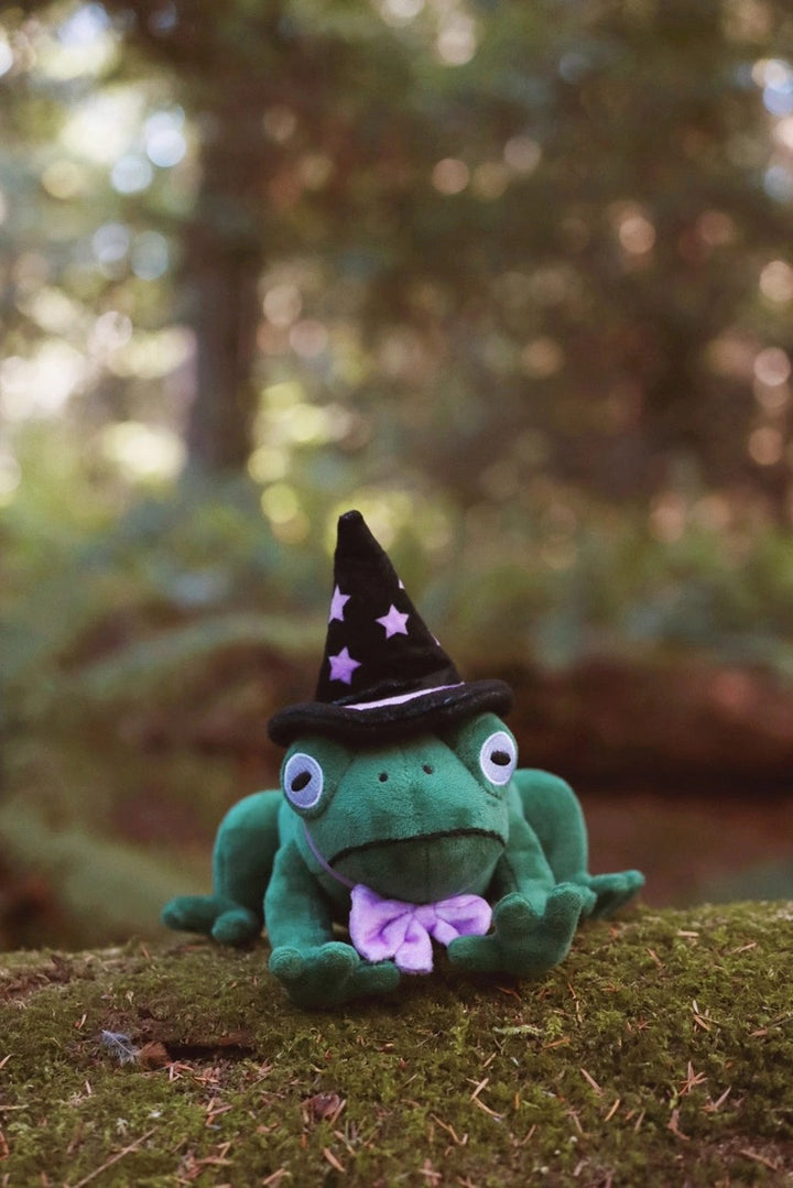 Toad Witch Plushie