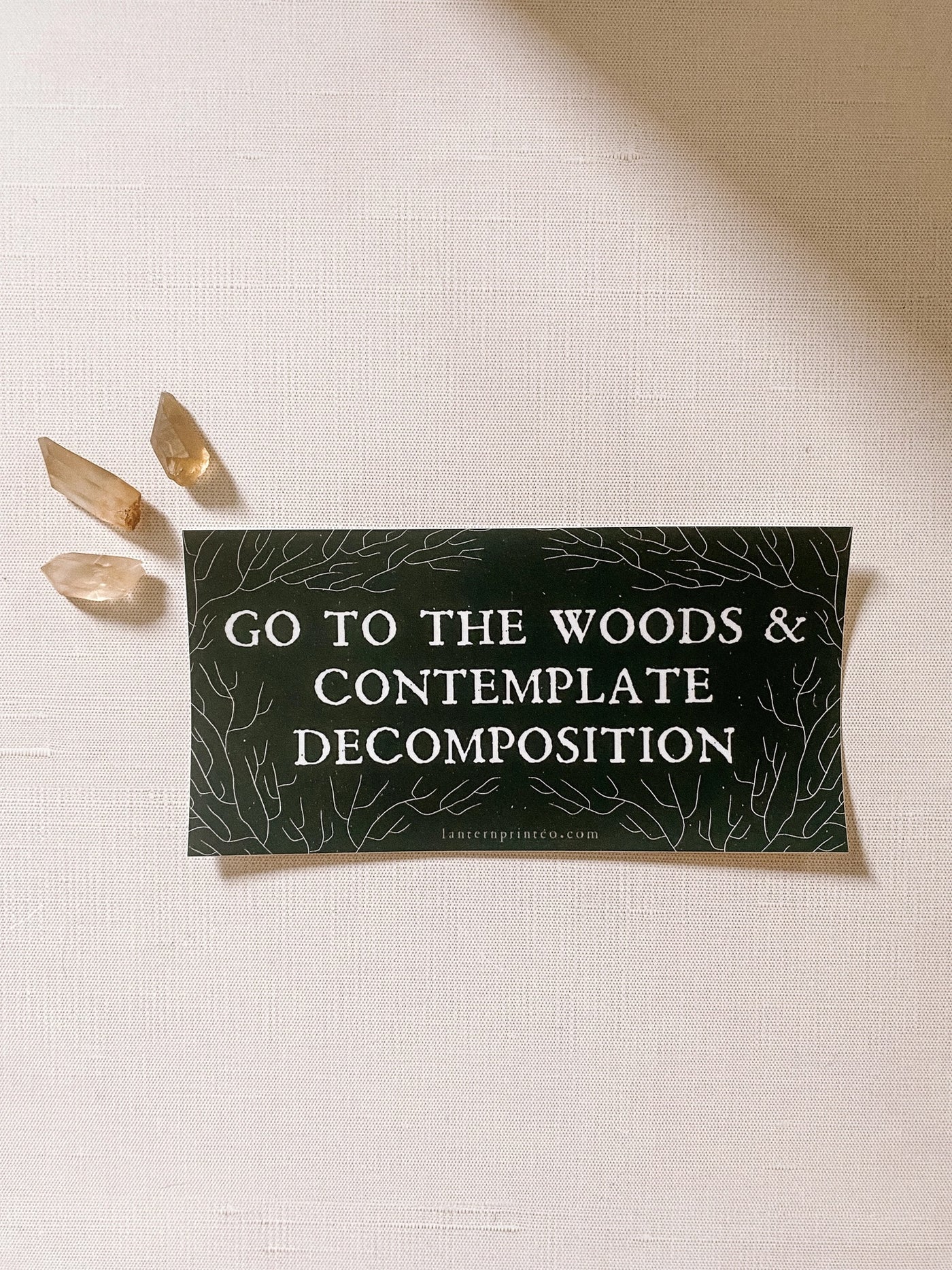 Decomposition Bumper Sticker