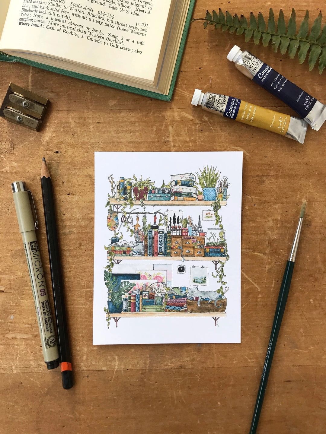The Artist's Shelves Postcard
